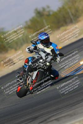 media/Nov-11-2023-SoCal Trackdays (Sat) [[efd63766ff]]/Turn 7 (2pm)/